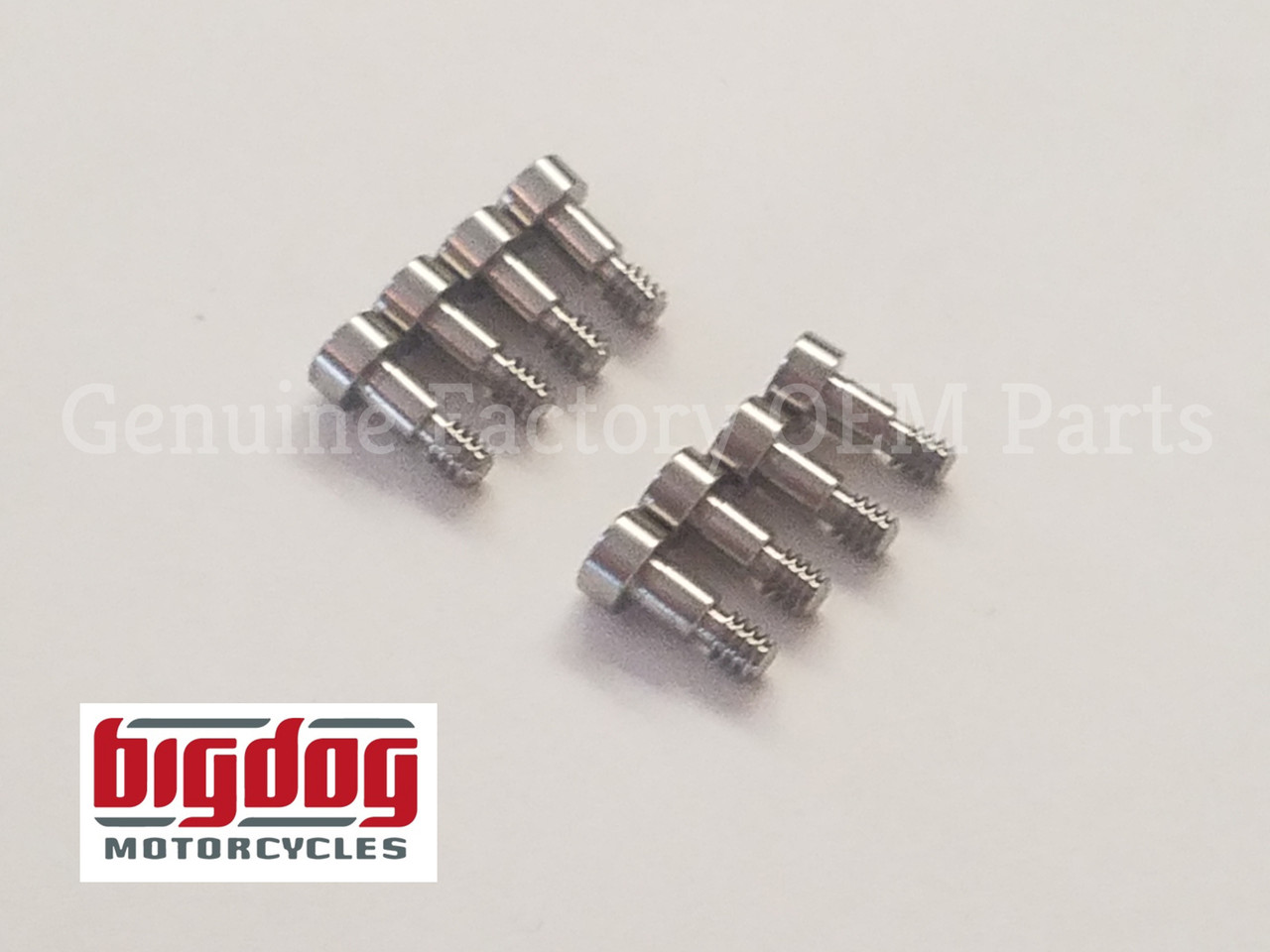 Big Dog Parts PCB SCREWS - 2004-PRESENT