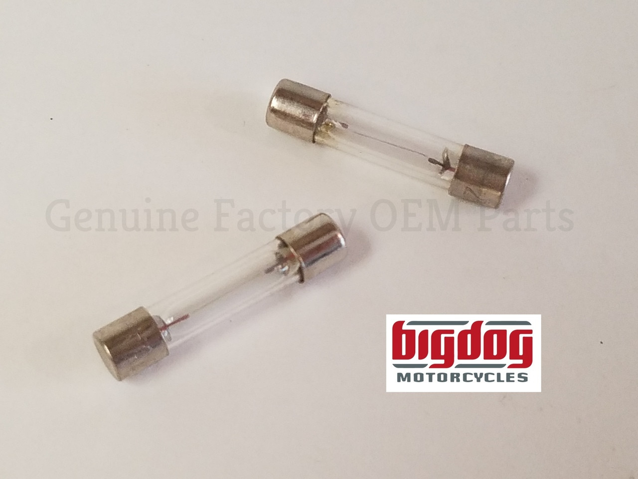 OEM License Tag Light Fuse Bulbs Pair for 1999–2003 Big Dog Motorcycles