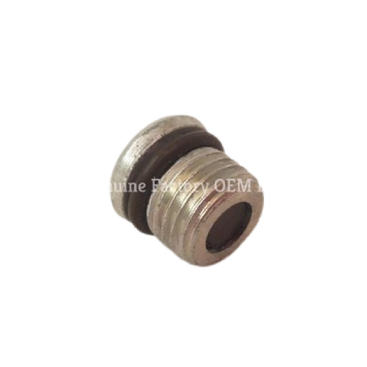 Big Dog Motorcycles Oil Drain Plug With O-Ring