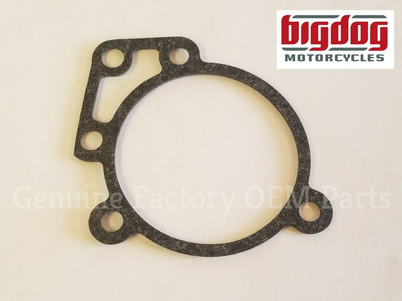 big dog motorcycles OEM backing plate gasket