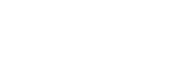 Big Dog Powersports Logo